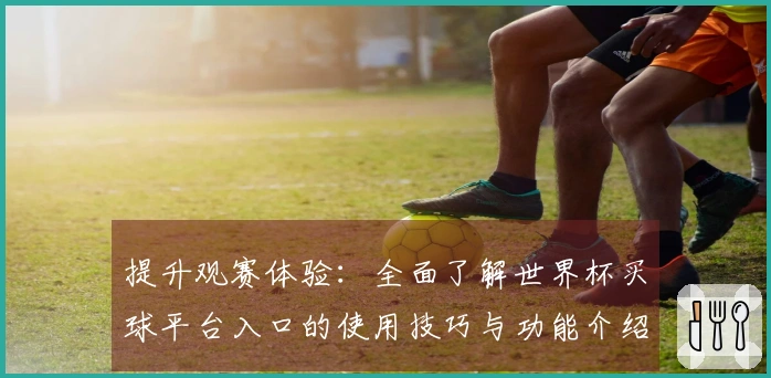 提升观赛体验：全面了解世界杯买球平台入口的使用技巧与功能介绍