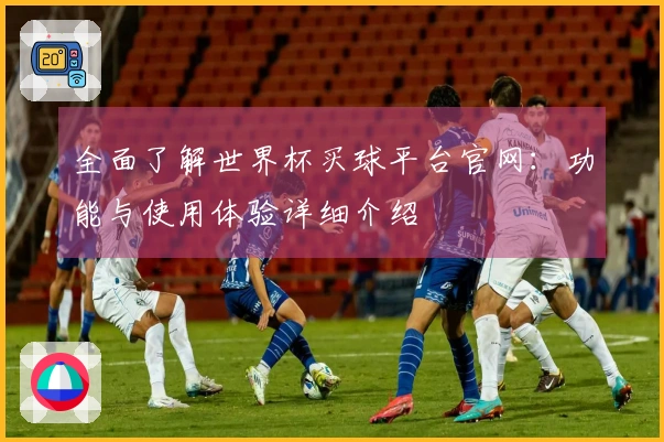 全面了解世界杯买球平台官网：功能与使用体验详细介绍