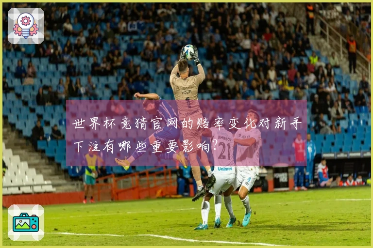 世界杯竞猜官网的赔率变化对新手下注有哪些重要影响？