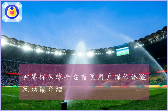 世界杯买球平台首页用户操作体验及功能介绍