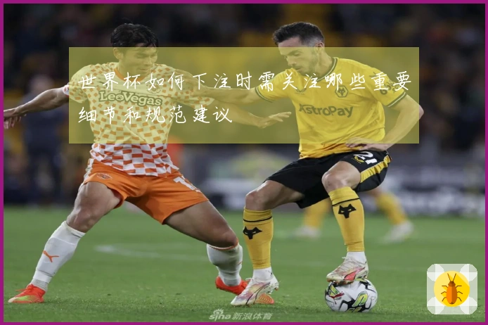 世界杯如何下注时需关注哪些重要细节和规范建议