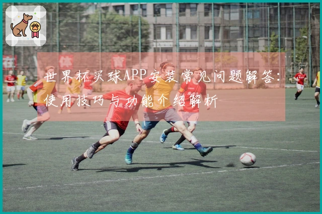 世界杯买球APP安装常见问题解答:使用技巧与功能介绍解析