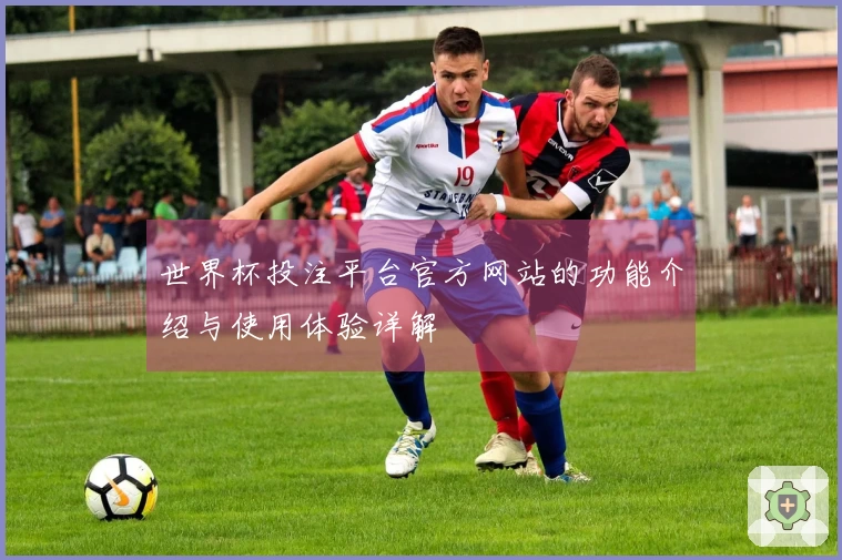 世界杯投注平台官方网站的功能介绍与使用体验详解