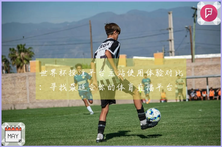 世界杯投注平台主站使用体验对比:寻找最适合你的体育直播平台