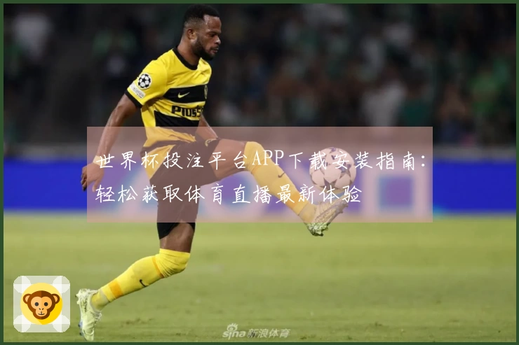 世界杯投注平台APP下载安装指南：轻松获取体育直播最新体验