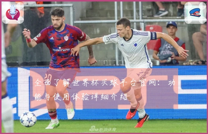 全面了解世界杯买球平台官网：功能与使用体验详细介绍