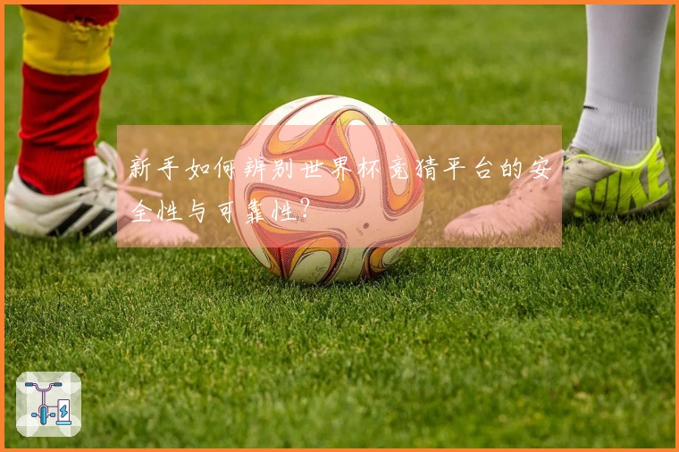 新手如何辨别世界杯竞猜平台的安全性与可靠性？