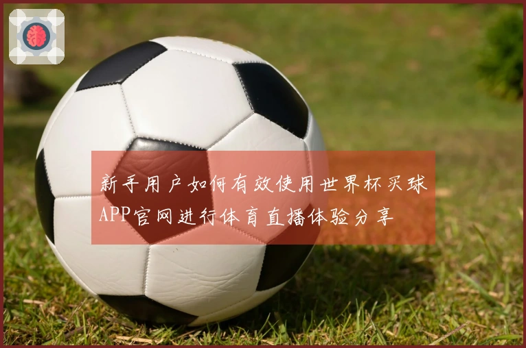 新手用户如何有效使用世界杯买球APP官网进行体育直播体验分享