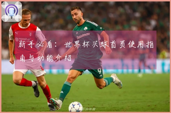 新手必看：世界杯买球首页使用指南与功能介绍