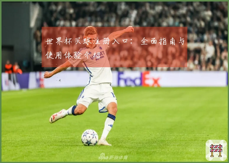 世界杯买球注册入口：全面指南与使用体验介绍