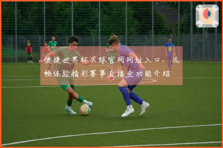 便捷世界杯买球官网网址入口,流畅体验精彩赛事直播全功能介绍